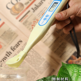 Salt-Temp Digital Tester ZDST-212