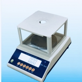 300g 0.01 Technical Scale DS302