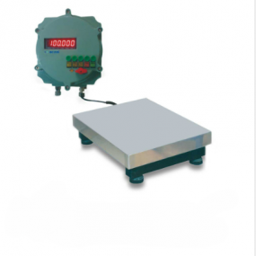 Explosion-Proof Floor Scale CTG-60F
