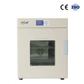 High Quality Lab Vertical Forced Air 43L Drying Oven